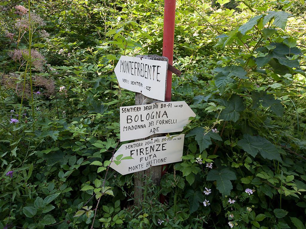 Lodole B&B Монцуно Экстерьер фото