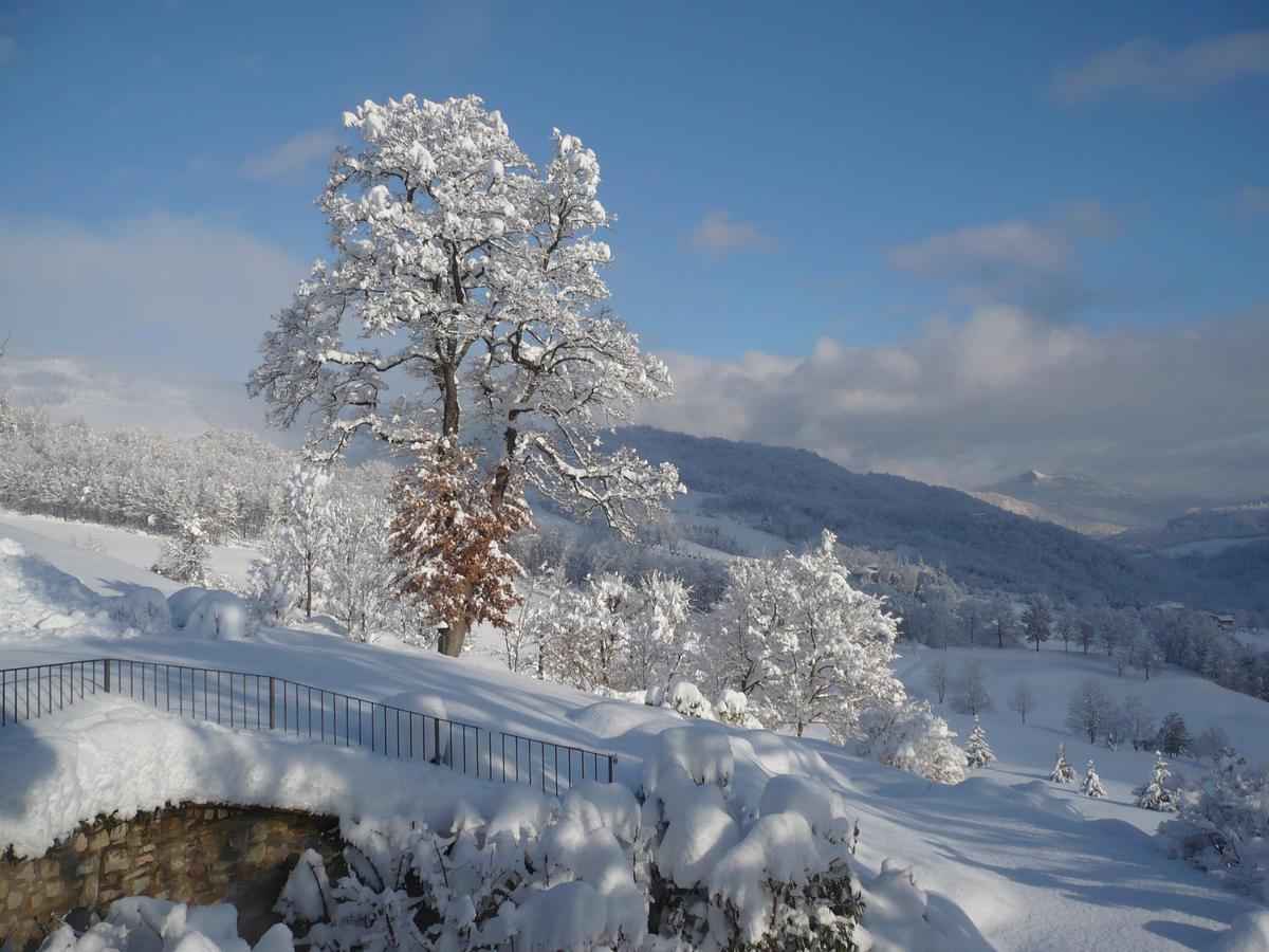Lodole B&B Монцуно Экстерьер фото